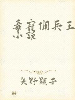 毒宠佣兵王妃听小说封面