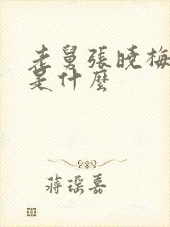 老舅张晓梅结局是什么封面