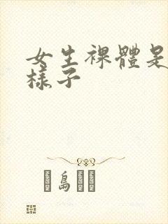 女生裸体是什么样子