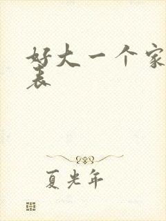 好大一个家演员表