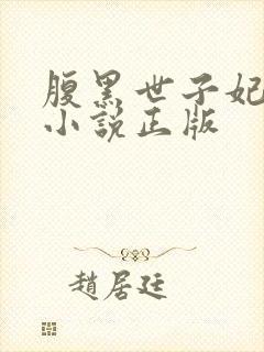 腹黑世子妃日常小说正版封面