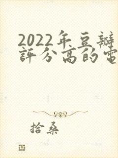 2022年豆瓣评分高的电视剧封面