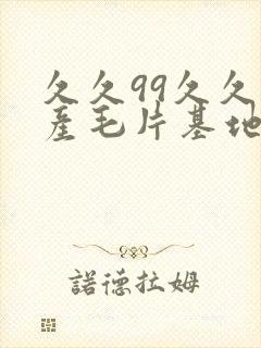 久久99久久国产毛片基地