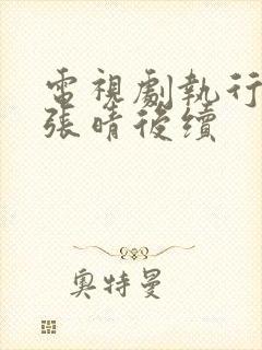 电视剧执行法官张晴后续