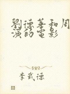 刘德华和周星驰演的电影