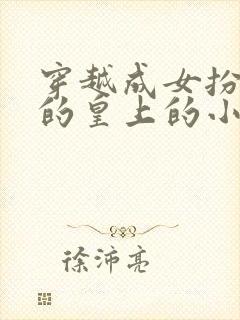 穿越成女扮男装的皇上的小说