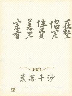 完美伴侣在线观看免费完整版高清电视剧