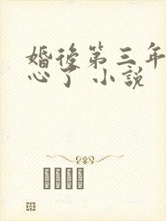 婚后第三年她变心了 小说封面