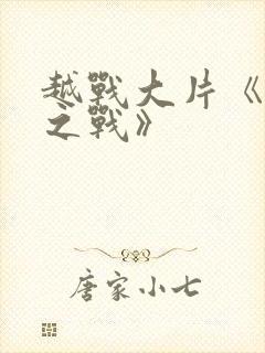 越战大片《龙潭之战》