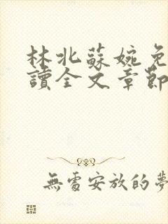 林北苏婉免费阅读全文章节封面