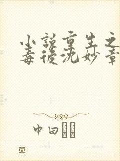 小说重生之将门毒后沈妙章节目录