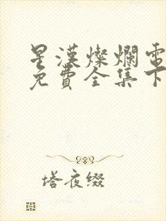 星汉灿烂电视剧免费全集下载封面