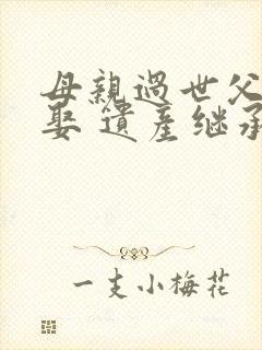 母亲过世父亲另娶 遗产继承封面