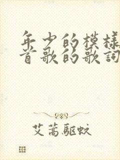 年少的模样是哪首歌的歌词