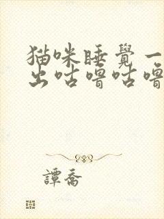 猫咪睡觉一直发出咕噜咕噜的声音