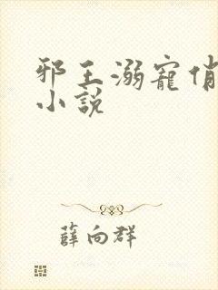 邪王溺宠俏王妃小说