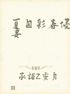 夏目彩春侵犯人妻