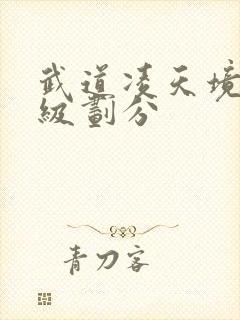 武道凌天境界等级划分