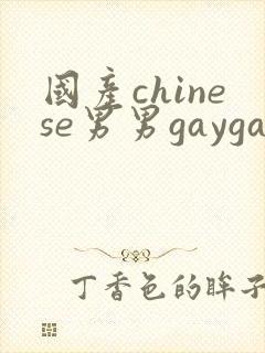 国产chinese男男gaygay网站肌肉