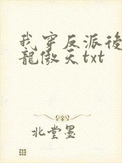 我穿反派后攻了龙傲天txt