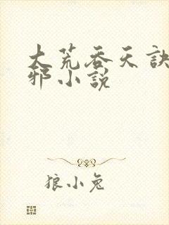 大荒吞天诀柳无邪小说封面