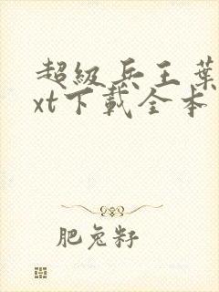 超级兵王叶谦txt下载全本