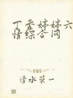 丁香婷婷六月激情综合网