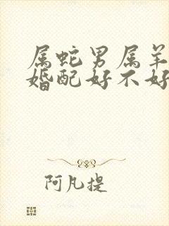 属蛇男属羊女的婚配好不好封面