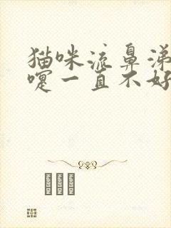 猫咪流鼻涕打喷嚏一直不好怎么办