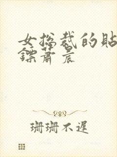 女总裁的贴身保镖萧晨封面