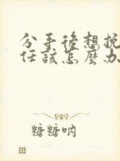 分手后想挽回前任该怎么办封面