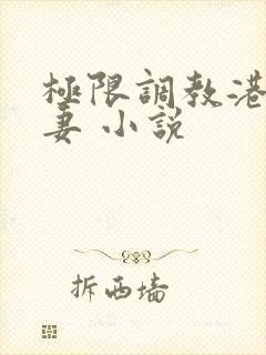 极限调教港女人妻 小说封面