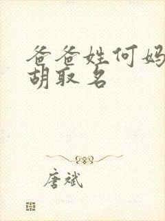 爸爸姓何妈妈姓胡取名