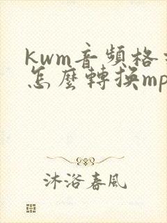 kwm音频格式怎么转换mp3