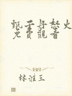 甄子丹怒火重案免费观看封面