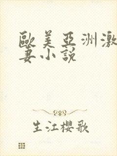 欧美亚洲激情人妻小说封面