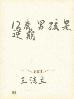 12岁男孩是叛逆期