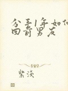 分手1年如何挽回前男友