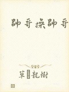 帅哥操帅哥福瑞