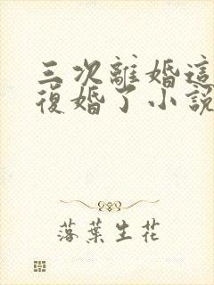 三次离婚这次不复婚了小说免费阅读封面