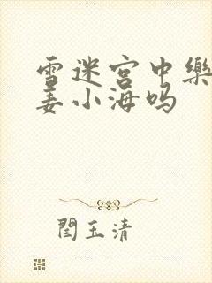 雪迷宫中乐乐是姜小海吗