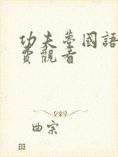 功夫梦国语版免费观看