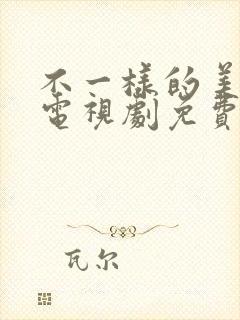 不一样的美男子电视剧免费全集