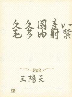 久久国产v一级毛多内射禁果a