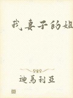 我妻子的姐姐三