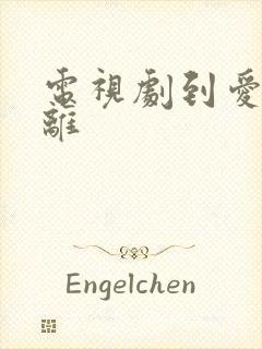电视剧到爱的距离