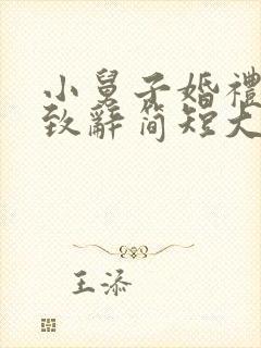 小舅子婚礼姐夫致辞简短大气封面