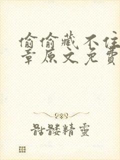 偷偷藏不住77章原文免费阅读