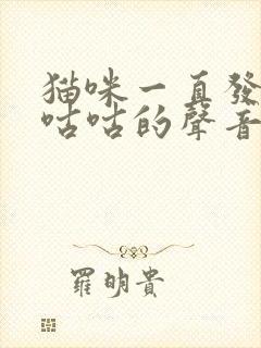 猫咪一直发出咕咕咕的声音是怎么了