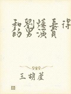 和刘烨长得很像的男演员